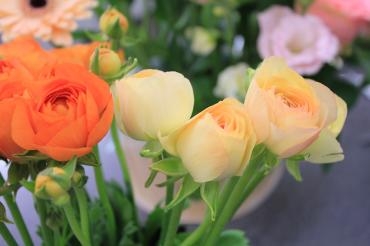 入荷した切花たち｜「越智花店」　（愛媛県松山市の花キューピット加盟店 花屋）のブログ